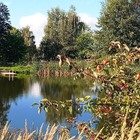 Historisches Rittergut Hexenburgbeidresden Nahe Sachsische Schweiz, Dresden - Mit Badeteich Leilighet Großharthau Eksteriør bilde